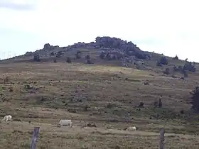 Le signal de Randon vu du col du Cheval Mort (1&nbsp;454&nbsp;m).