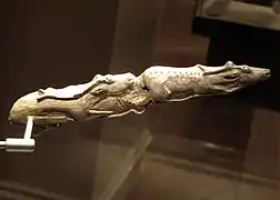 Rennes nageant (en).