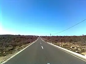 Slivnica (Posedarje)