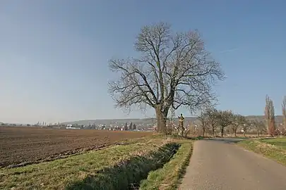 Statue de Sainte-Svetlana.
