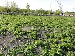 Le puits dans son environnement.