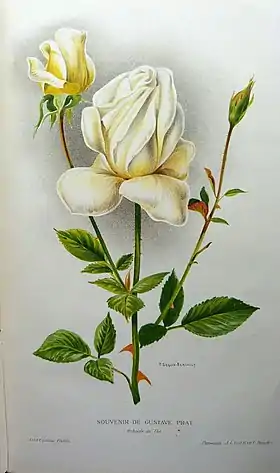 Image illustrative de l’article Souvenir de Gustave Prat