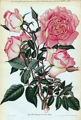 'Souvenir de Victor Hugo' (1884)