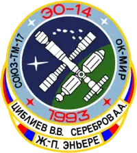 Insigne de la mission