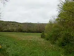 Paysage à proximité de Saint-Benoît.