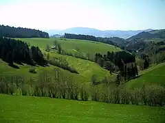 Entre St. Peter et St. Märgen, la vallée Oberibental