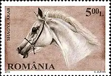 Timbre avec une tête de cheval blanc.