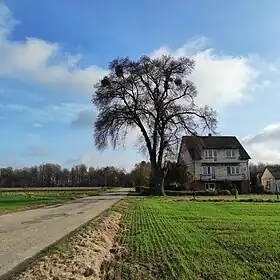 Stanisławka (Puławy)