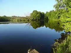 Étang dans le raïon de Staroïe Chaïgovo.