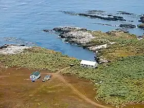 Image illustrative de l’article Steeple Jason