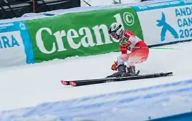 Image illustrative de l’article Stefanie Grob