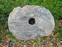 Monnaie de pierre dans le parc