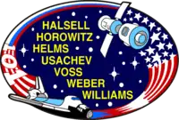 Insigne de la mission