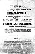 Vente de 178 esclaves de plantations agricoles, de la succession de M. Lambech, Nouvelle-Orléans (États-Unis), 1855.