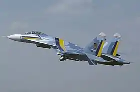 Un Soukhoï Su-27 des Ukrainian Falcons, visible lors d'une démonstration aérienne en 1996.