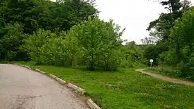 Sunnybrook (Nouvelle-Zélande)