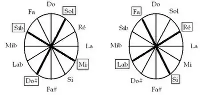 Axes complémentaires chez Bartok