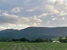 Vue de la tête Allègre (à gauche) et du morne Goton.