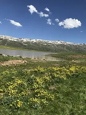 Lac et marécage dans la province d'Erzurum en mai 2020.