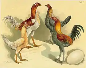 Des combattants du Nord en 1885