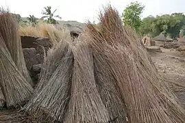 Bottes de paille (mil?) à Tanéka-Béri. Les épis ont été battus ou coupés auparavant. Bénin, 2017