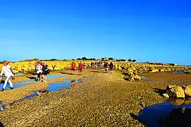 Les Traversées de Tatihou en 2019.