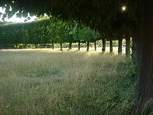 La terrasse vue de la demi-lune.