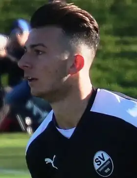 Image illustrative de l’article Leart Paqarada