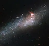 Gros plan sur NGC 4656 par le télescope spatial Hubble.