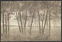 La lisière de la forêt, estampe par Richard Baseleer, Cabinet des Estampes de la Bibliothèque royale de Belgique, S.V 43660