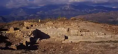 Image illustrative de l’article Phœnicè