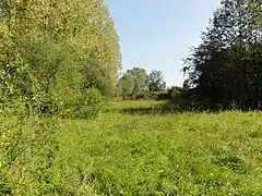 Le carreau de fosse.