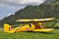 Tiger Moth