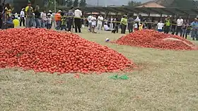Tomates lors de l'édition de 2009.