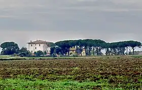 Image illustrative de l’article Tour Trappola