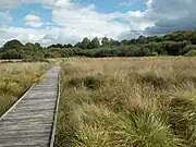 tourbières de Landemarais : le chemin de découverte sur pilotis.