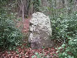 Le menhir.