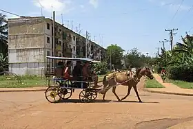 Trotteur cubain à Moa