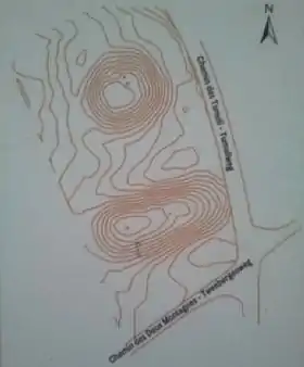 Image illustrative de l’article Tumuli de la Forêt de Soignes