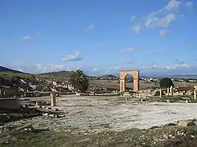 Image illustrative de l’article Pheradi Majus