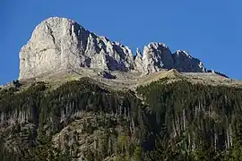Vue détaillée du sommet Schybengütsch depuis le sud-ouest.