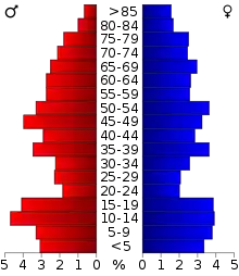 Schéma représentant la population du comté, par tranche d'âge. En rouge, à gauche, les femmes, en bleu à droite, les hommes.