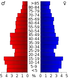 Schéma représentant la population du comté, par tranche d'âge. En rouge, à gauche, les femmes, en bleu à droite, les hommes.