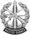 Master Gunner Identification Badge