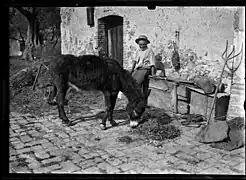 Charles Géniaux, Un homme et son âne, vers 1898