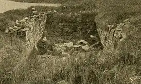 Photographie en noir et blanc de murs arasés envahis par des herbacées.