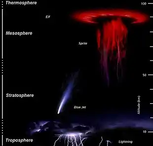 Dessins de phénomènes lumineux transitoires selon l'altitude. Les éclairs se produisent en dessous de 10 kilomètres d'altitude, les jets bleus entre 20 et 30 kilomètres, les farfadets entre 50 et 90 et les elfs entre 85 et 100.