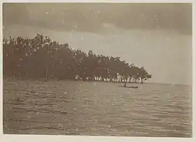 Image illustrative de l’article Karakelong