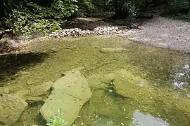 la Vézéronce à Surjoux-Lhopital