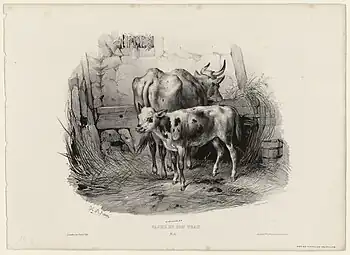 France : vache et son veau, Victor Adam, 1832
